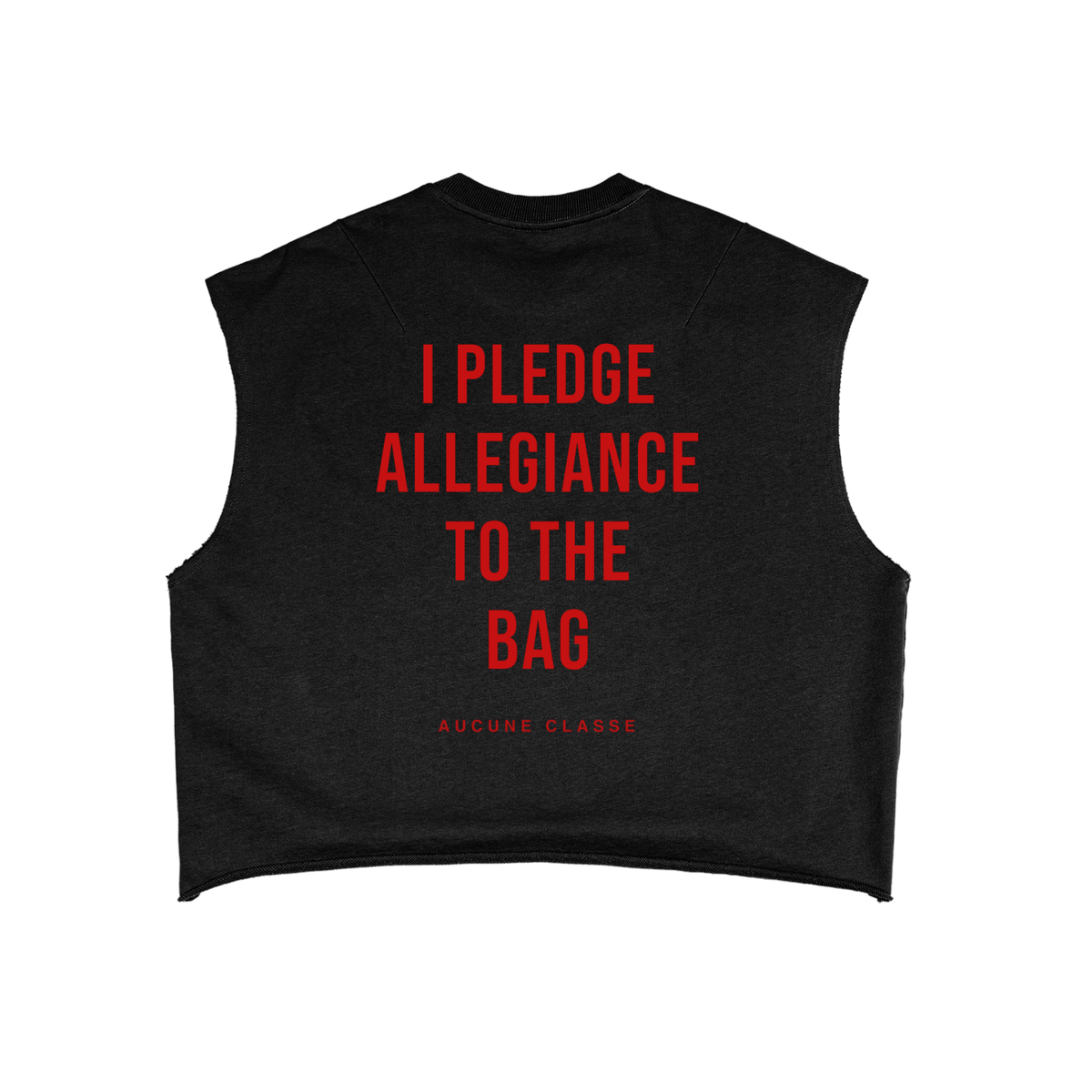 I Pledge Allegiance