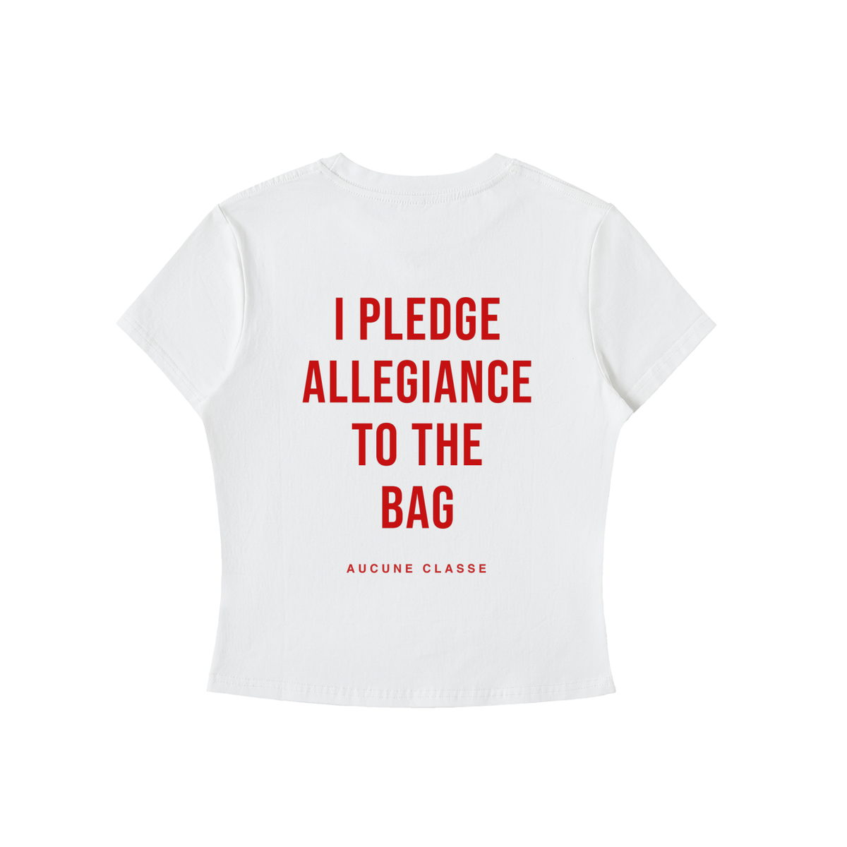 I Pledge Allegiance