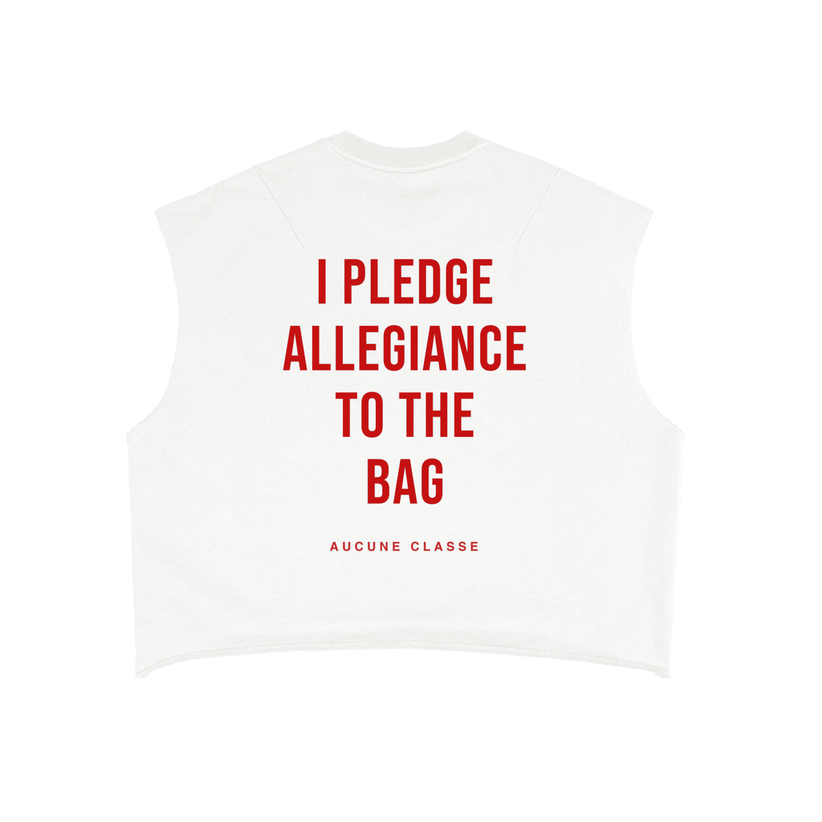 I Pledge Allegiance