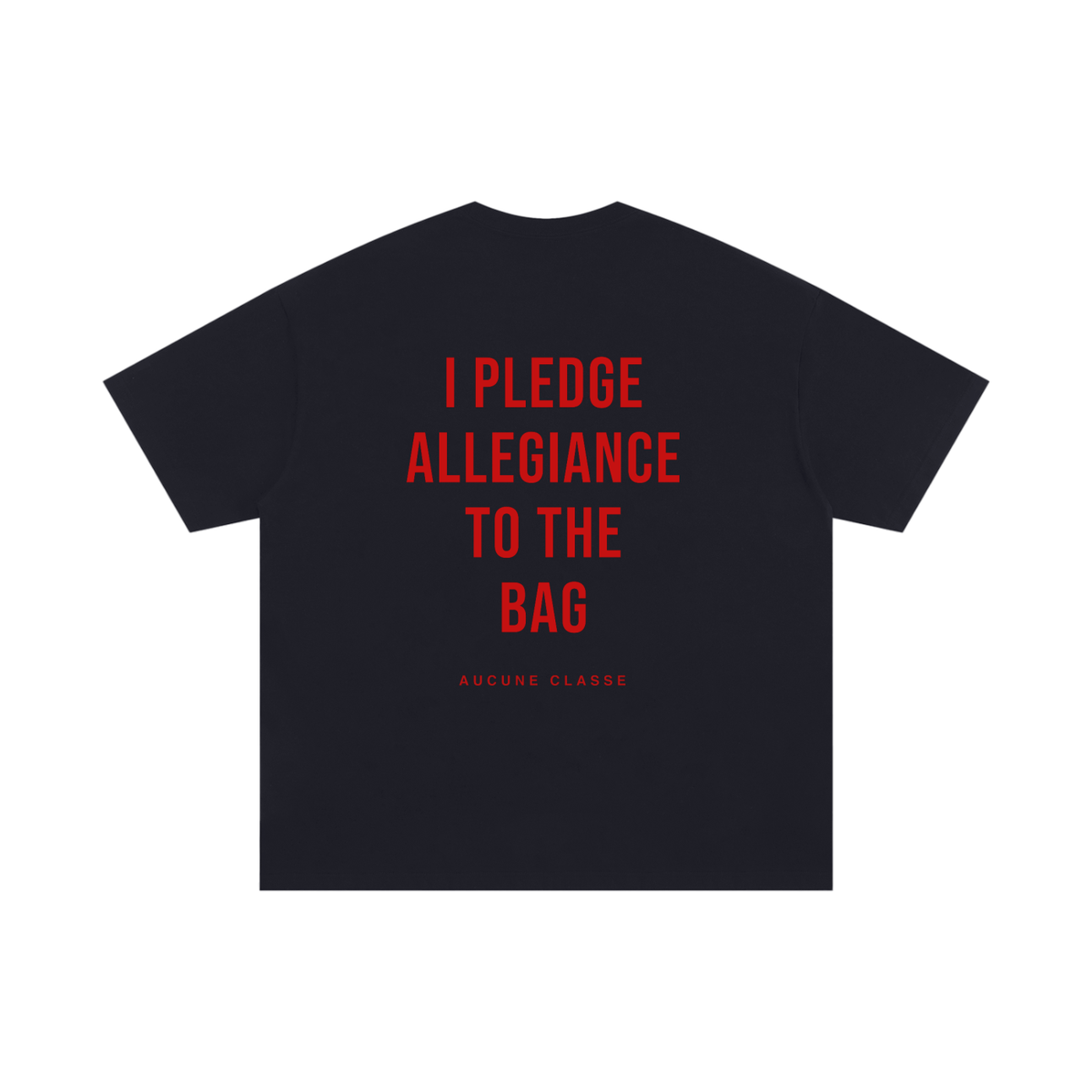 I Pledge Allegiance