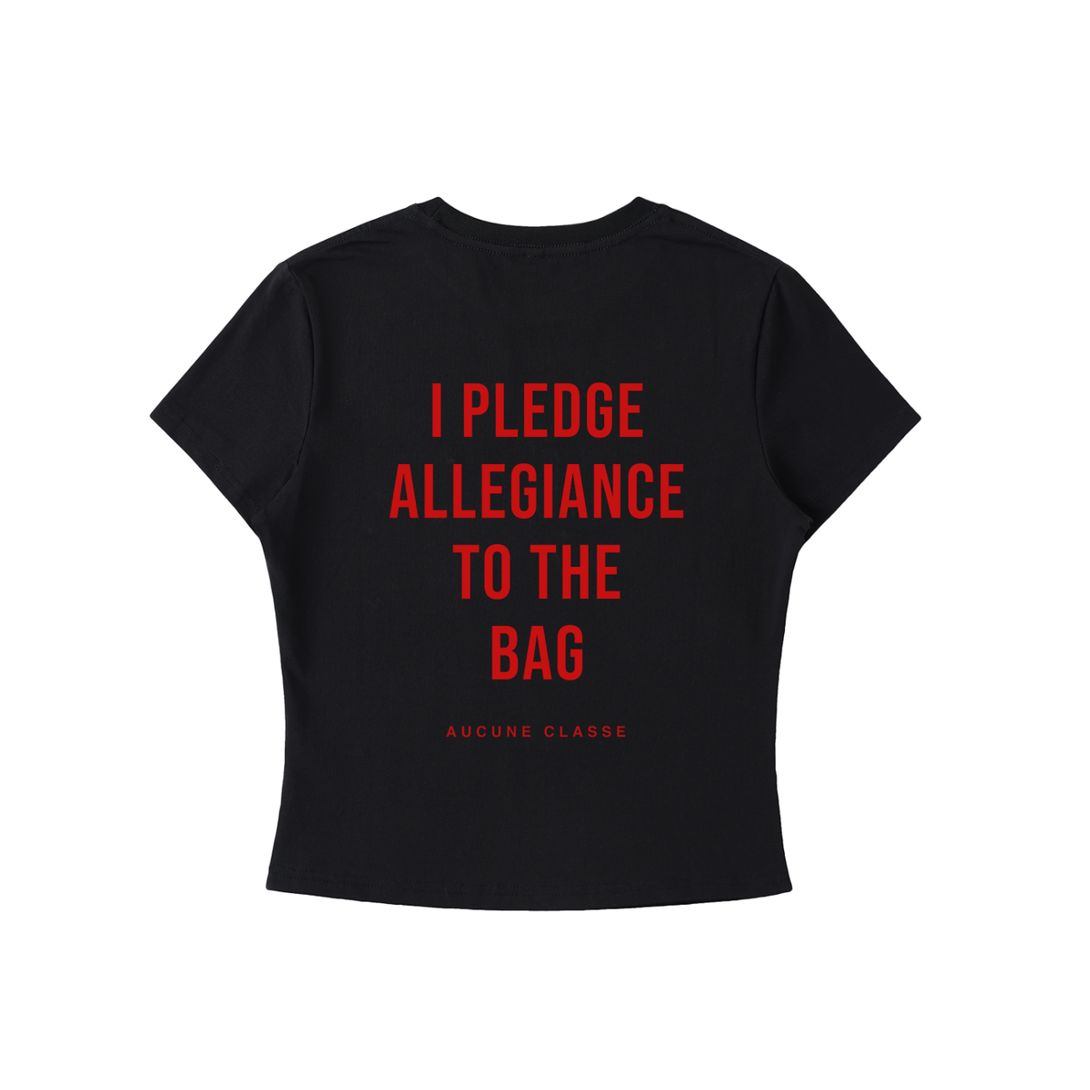 I Pledge Allegiance